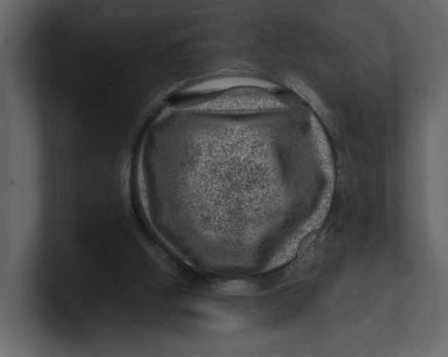 X0000100950058200807151345