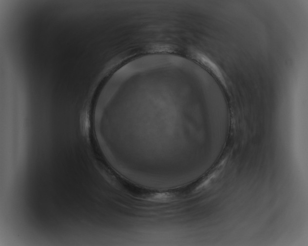 X0000100950059200807151345