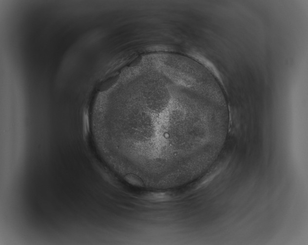 X0000100950061200807151345