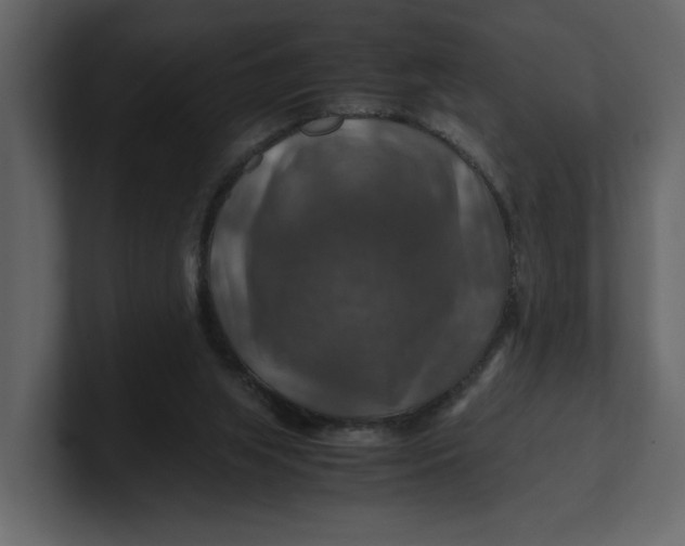 X0000100950063200807151345