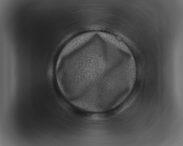 X0000100950064200807151345