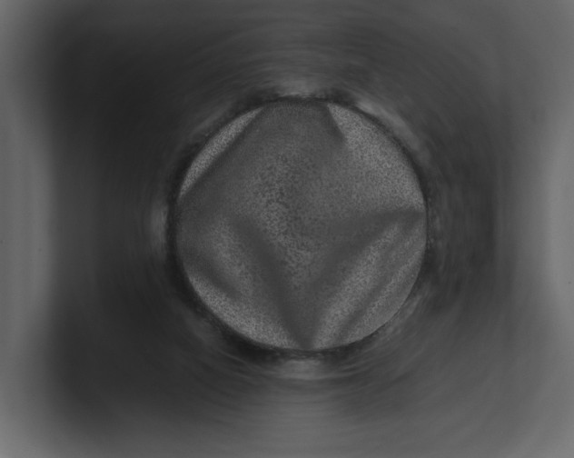 X0000100950066200807151345