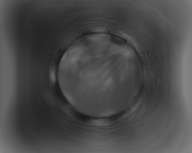 X0000100950069200807151346