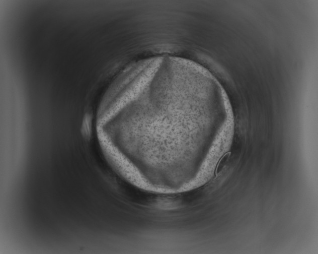 X0000100950070200807151346