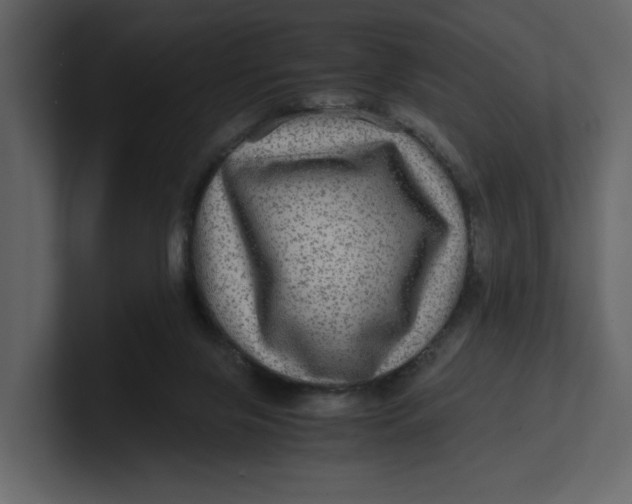 X0000100950071200807151346