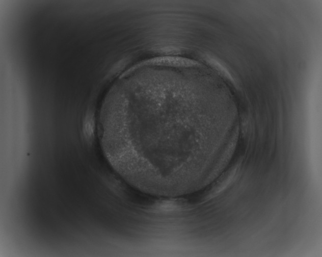 X0000100950072200807151346