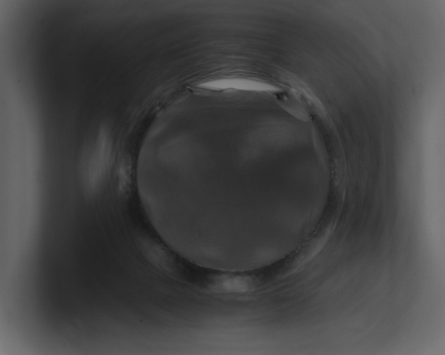 X0000100950073200807151346