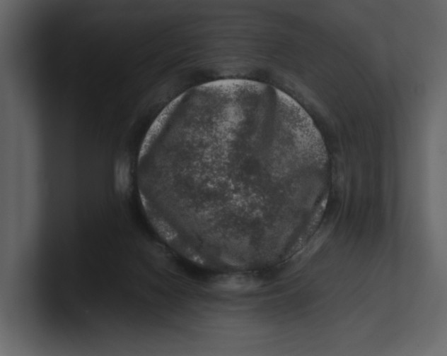 X0000100950074200807151346