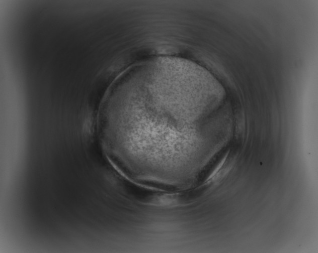 X0000100950078200807151346