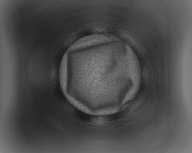 X0000100950079200807151346