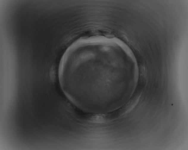 X0000100950080200807151346