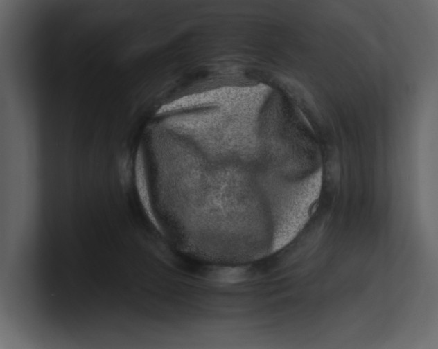 X0000100950081200807151346