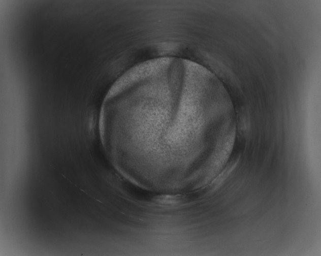 X0000100950082200807151346