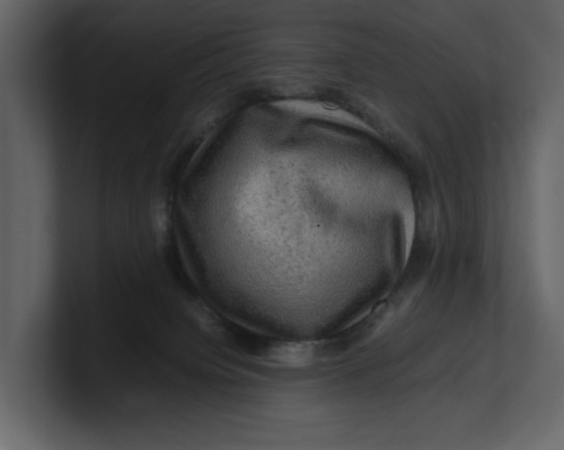 X0000100950084200807151346