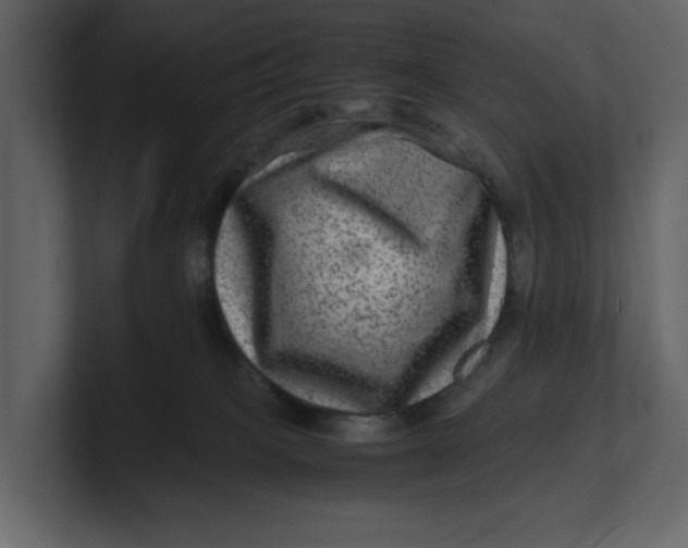 X0000100950085200807151346