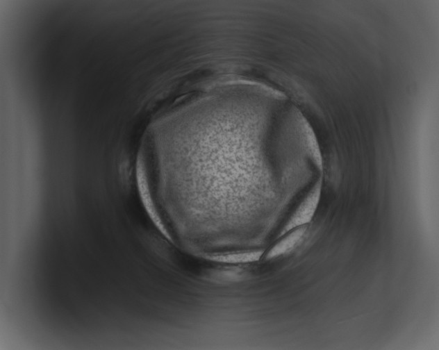 X0000100950086200807151346