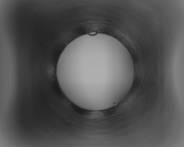 X0000100950087200807151346