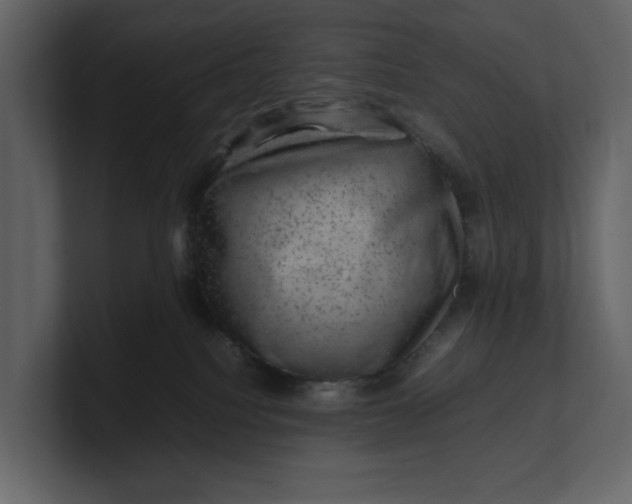 X0000100950088200807151346