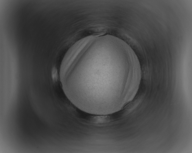 X0000100950089200807151346