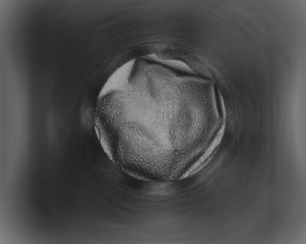 X0000100950093200807151346