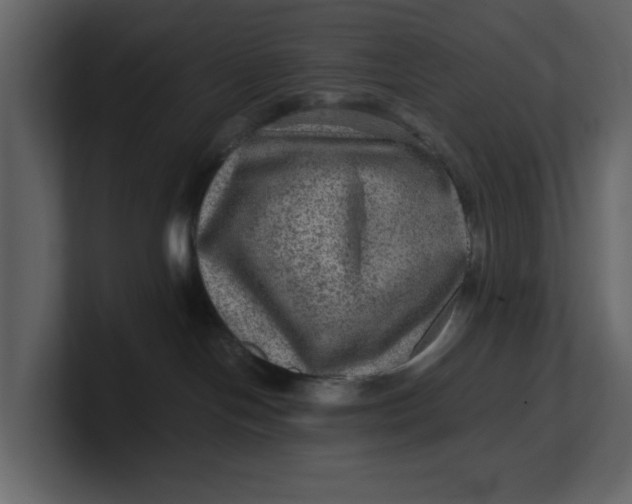 X0000100950094200807151346