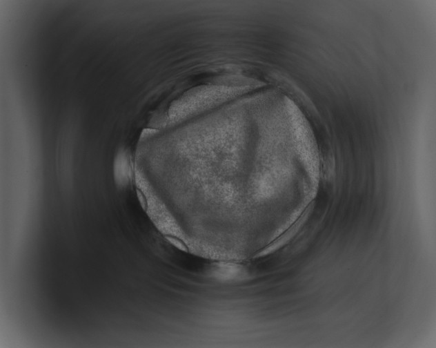 X0000100950095200807151346