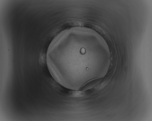 X0000100950096200807151346