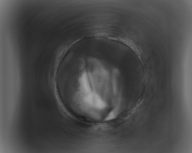 X0000100950097200807151345