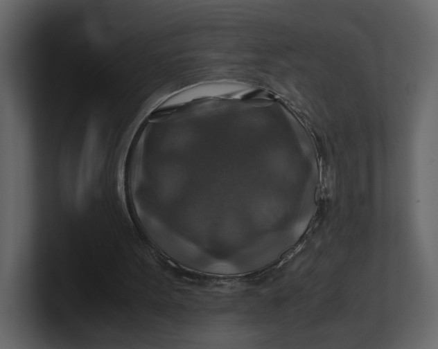 X0000100950099200807151345