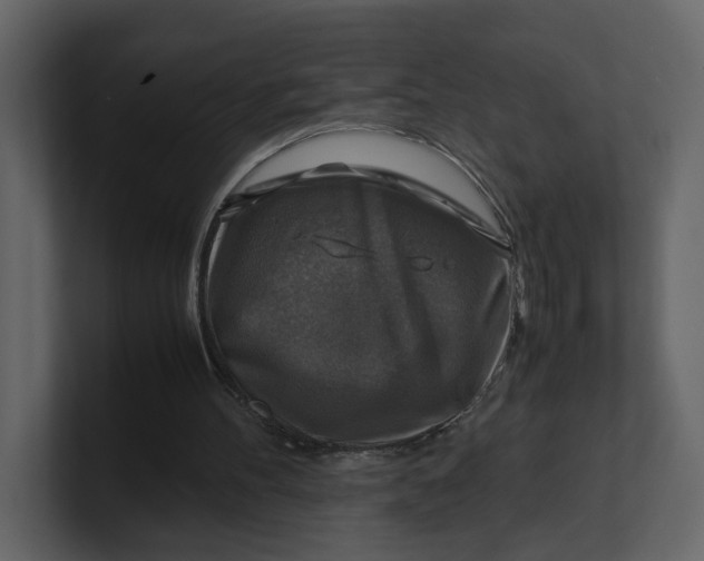 X0000100950100200807151345