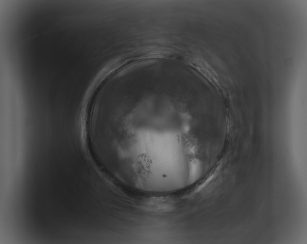 X0000100950101200807151345