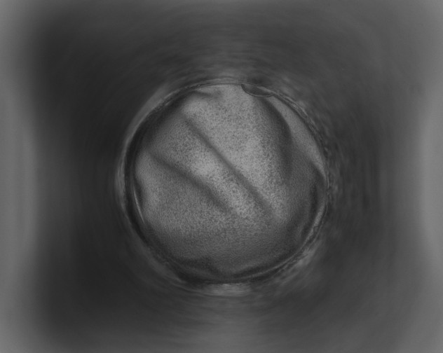 X0000100950102200807151345