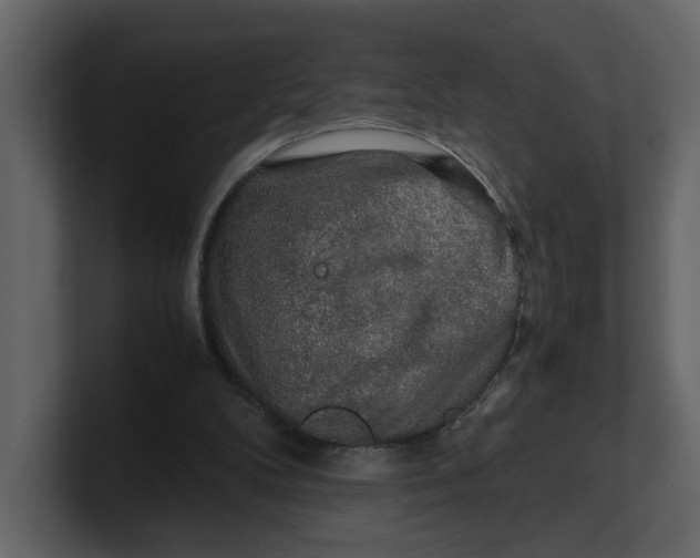 X0000100950104200807151345