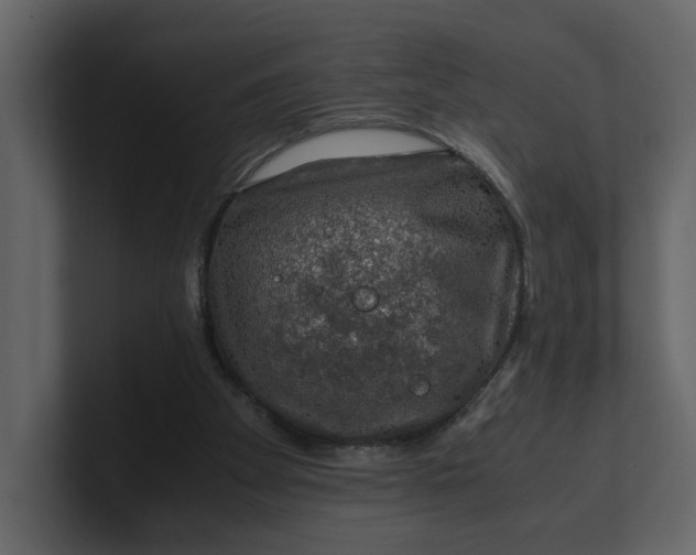 X0000100950105200807151345