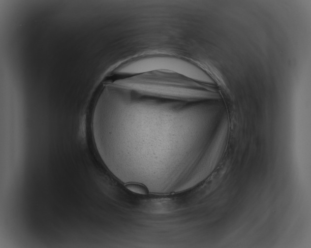 X0000100950108200807151345