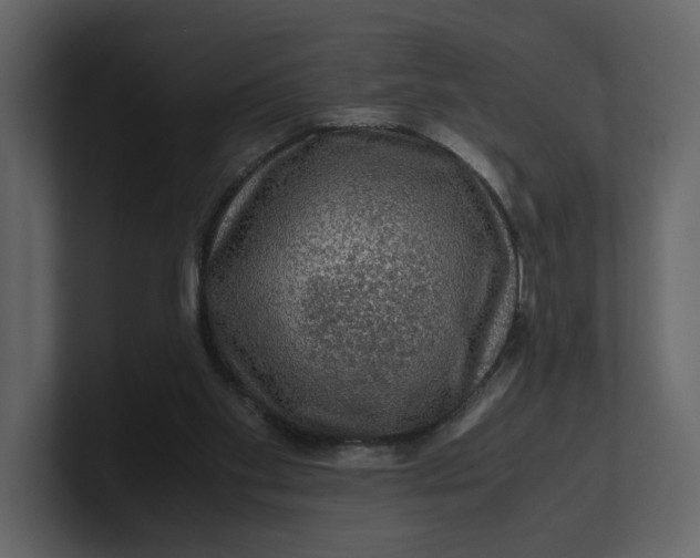 X0000100950109200807151345