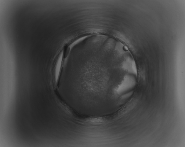 X0000100950110200807151345