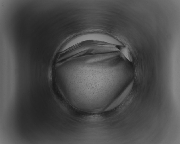 X0000100950112200807151345