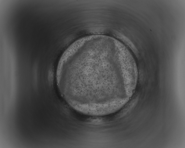 X0000100950113200807151345