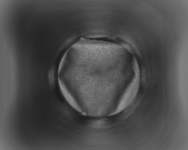 X0000100950116200807151345