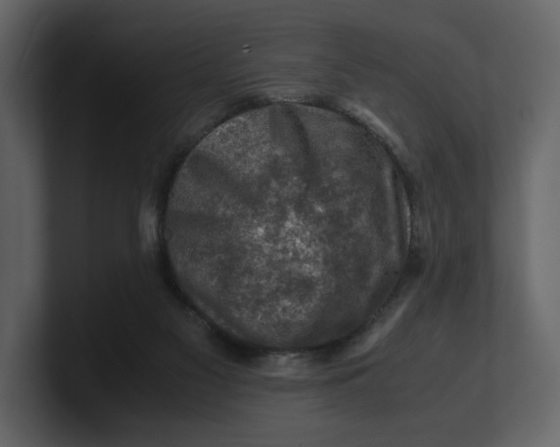 X0000100950117200807151345