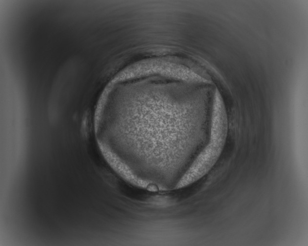 X0000100950119200807151345