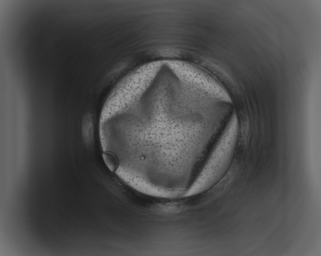 X0000100950120200807151345