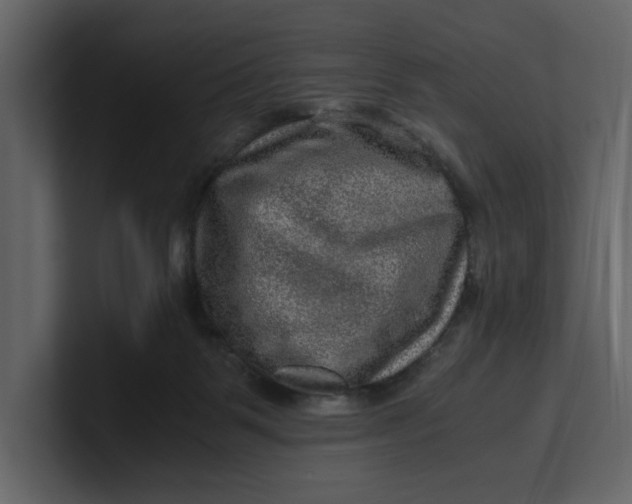 X0000100950123200807151345