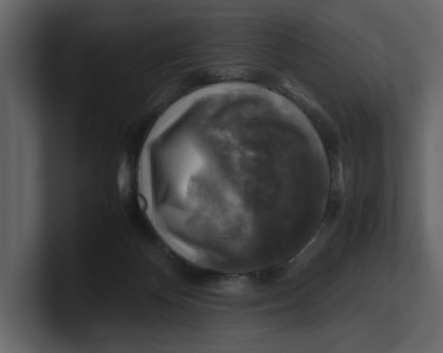 X0000100950124200807151345