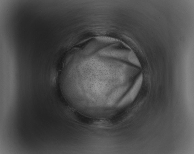 X0000100950125200807151345