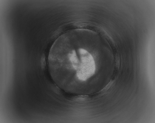 X0000100950128200807151345