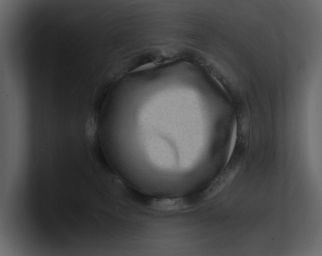 X0000100950129200807151345