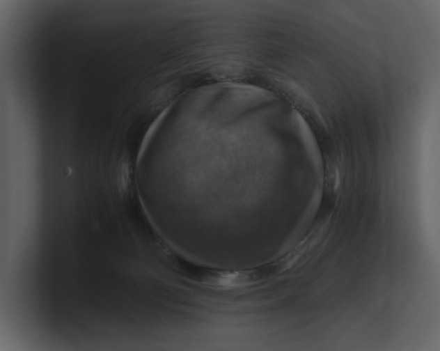 X0000100950130200807151345