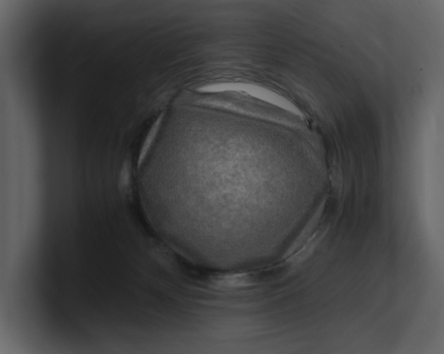 X0000100950132200807151345